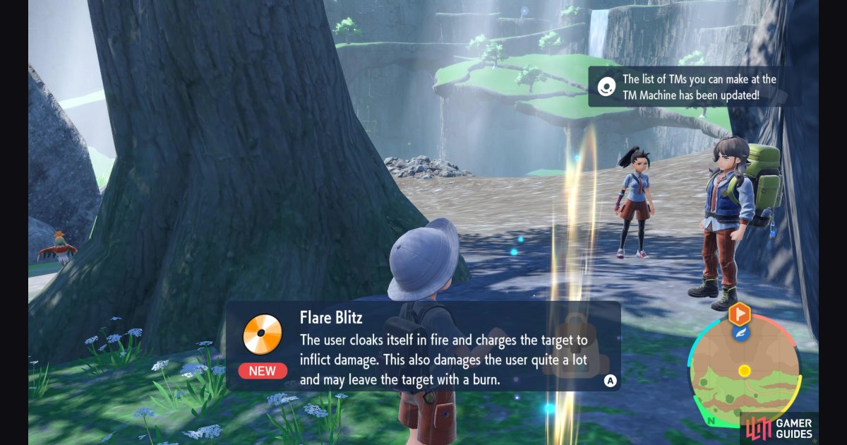 flare blitz.jpg.jpeg